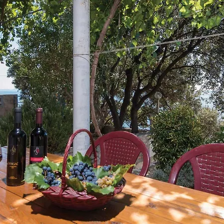 Three-bedroom In 度假居 Potomje